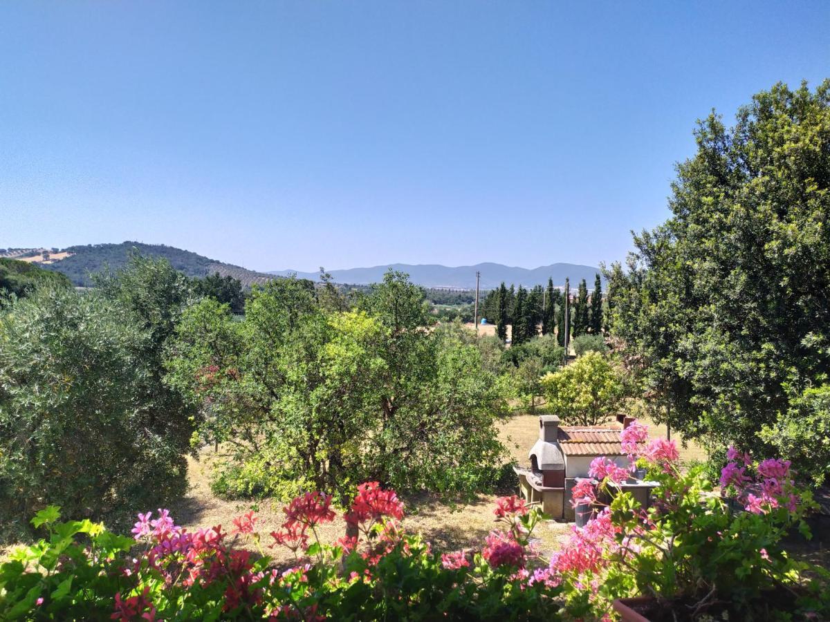 Agriturismo San Giorgino Grosseto Dış mekan fotoğraf