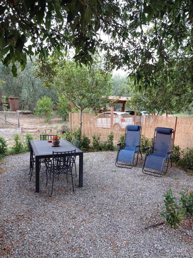 Agriturismo San Giorgino Grosseto Oda fotoğraf