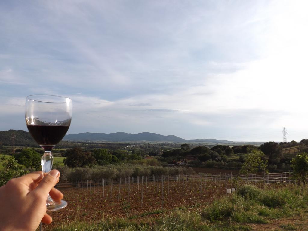 Agriturismo San Giorgino Grosseto Dış mekan fotoğraf