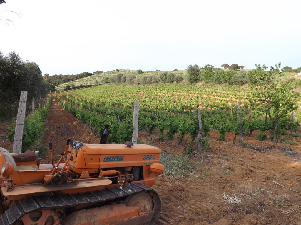 Agriturismo San Giorgino Grosseto Dış mekan fotoğraf