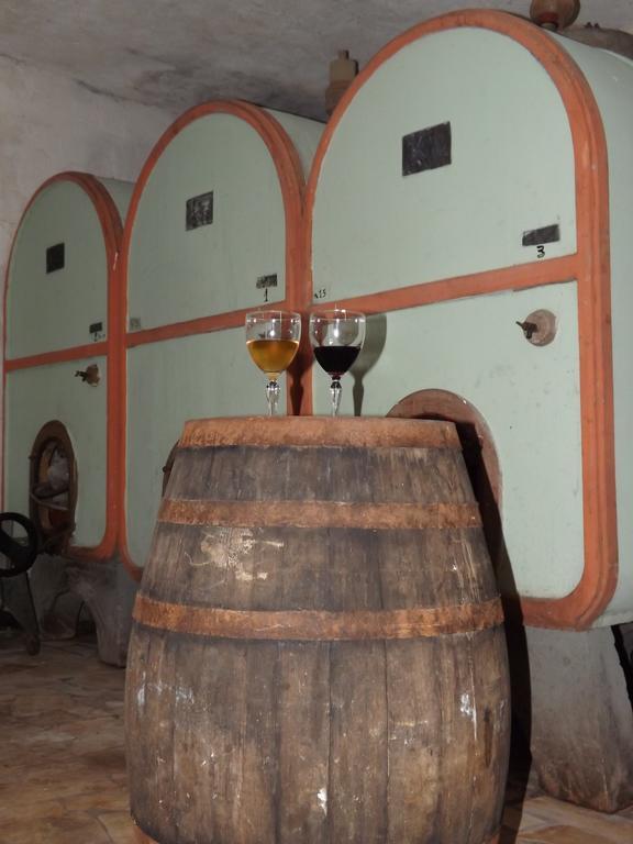 Agriturismo San Giorgino Grosseto Dış mekan fotoğraf